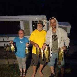 Meet your Posher, Renee bubnick